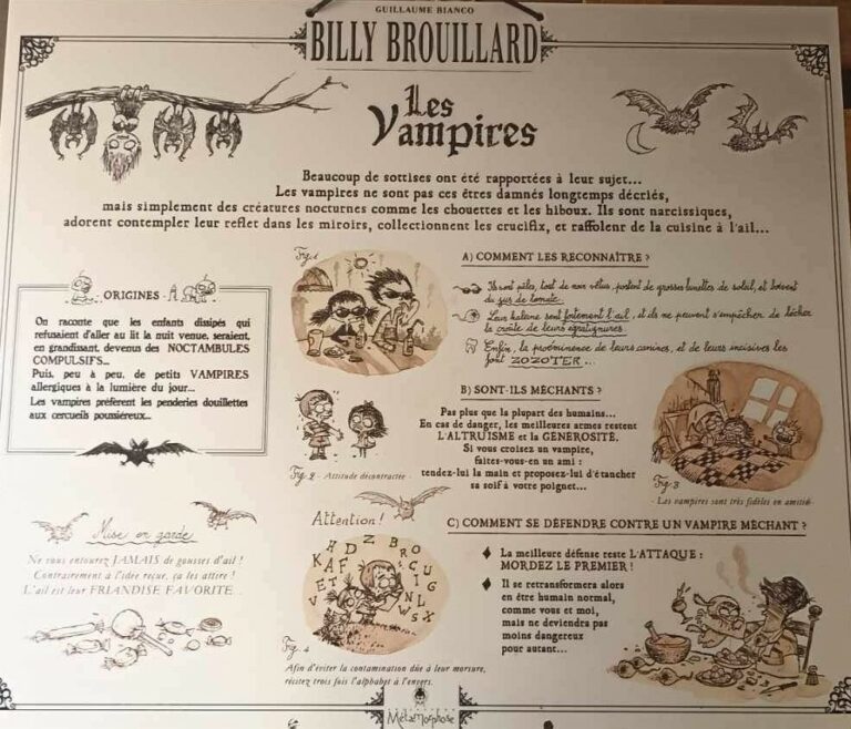00006expo-billy brouillard-bianco