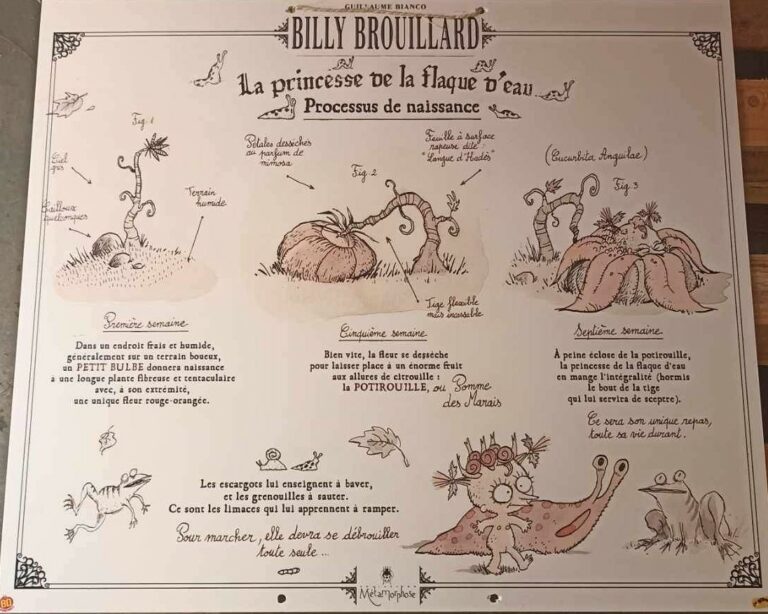 00016expo-billy brouillard-bianco