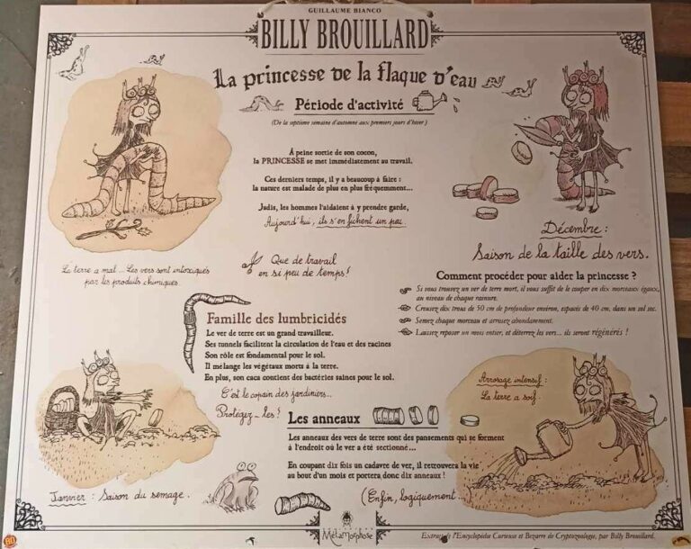 00017expo-billy brouillard-bianco