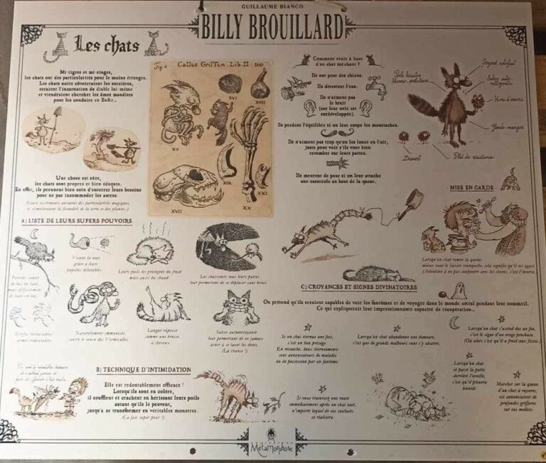 00018expo-billy brouillard-bianco