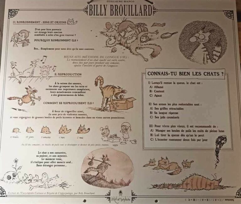 00019expo-billy brouillard-bianco